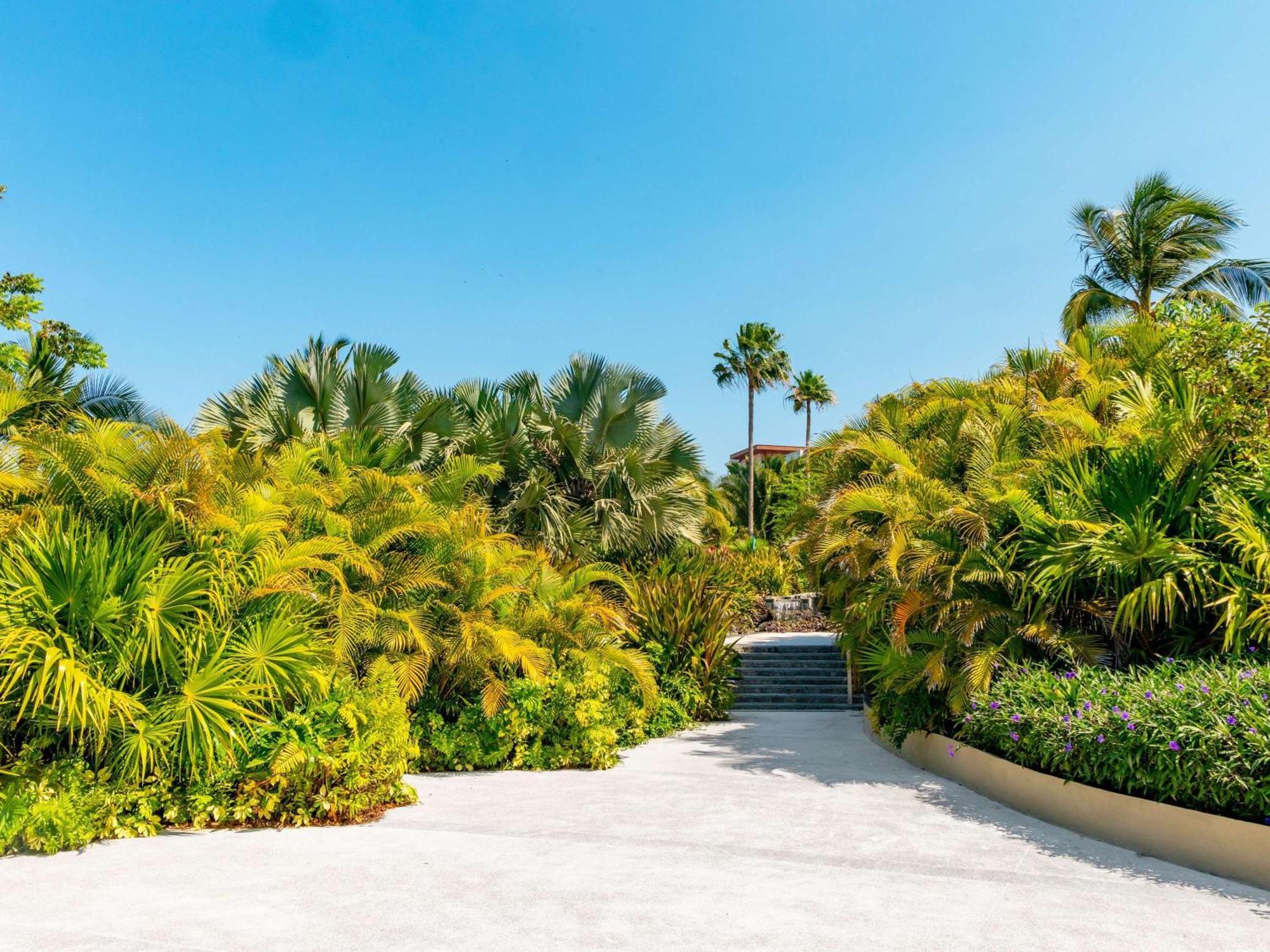 Armony Marival Resort & Spa Punta De Mita - Mgallery Collection (Adults Only) Punta Mita Exteriér fotografie